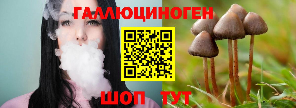 Анапа  Псилоцибиновые грибы MAGIC MUSHROOMS  Вход с VPN 